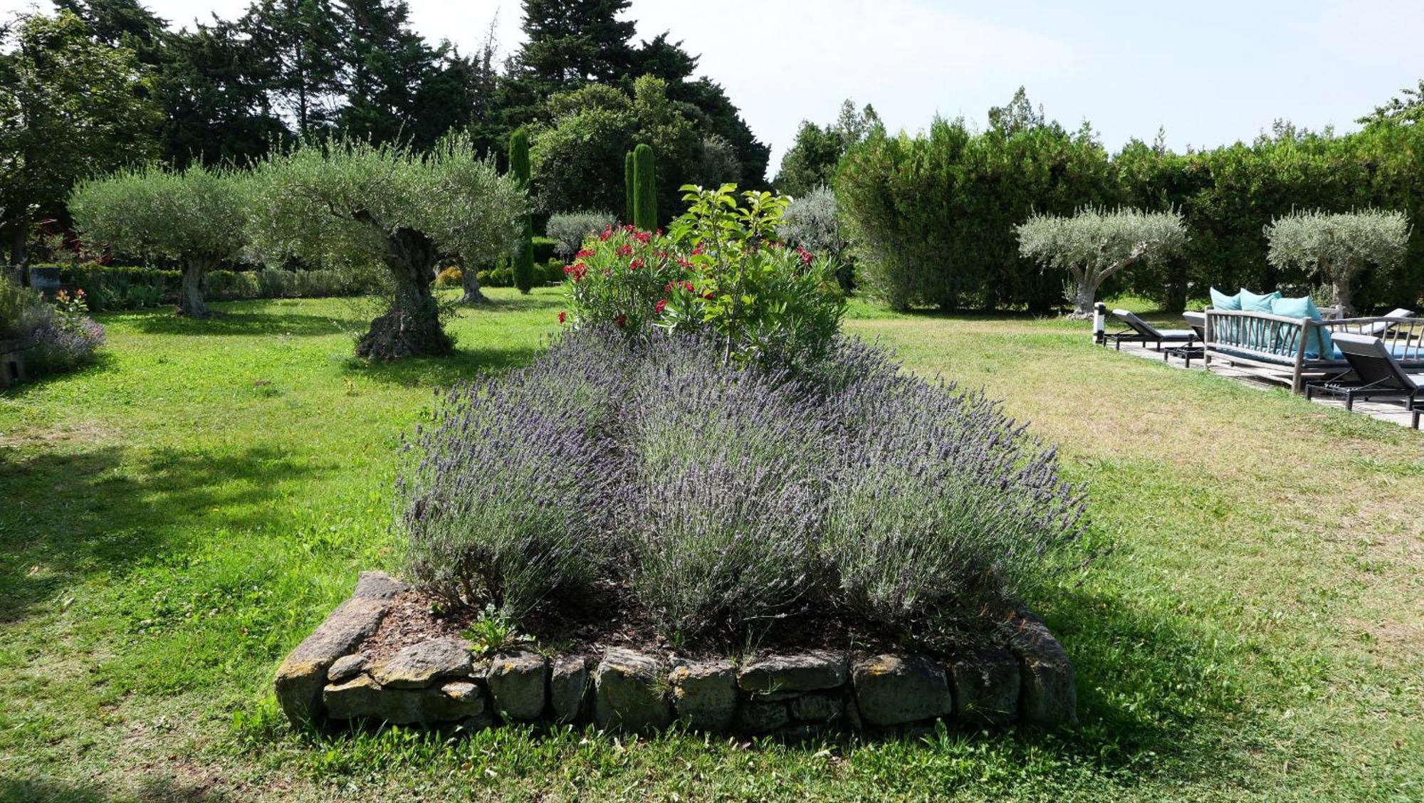 Superbe Mas Provençal 600m2 avec une Superbe Piscine Chauffée et très grand jardin 9000m2, situé au cœur du Luberon en campagne proche de L'Isle sur la Sorgue, 12 personnes, LS2-17 FIGNOULADO Cavaillon Esterno foto
