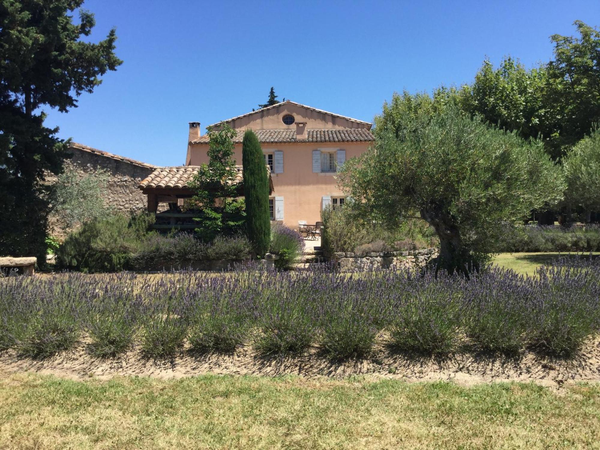 Superbe Mas Provençal 600m2 avec une Superbe Piscine Chauffée et très grand jardin 9000m2, situé au cœur du Luberon en campagne proche de L'Isle sur la Sorgue, 12 personnes, LS2-17 FIGNOULADO Cavaillon Esterno foto