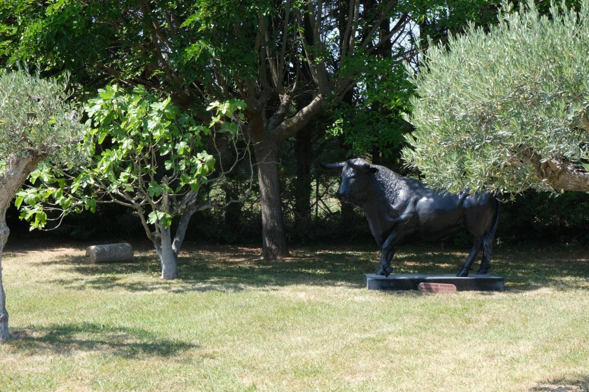 Superbe Mas Provençal 600m2 avec une Superbe Piscine Chauffée et très grand jardin 9000m2, situé au cœur du Luberon en campagne proche de L'Isle sur la Sorgue, 12 personnes, LS2-17 FIGNOULADO Cavaillon Esterno foto
