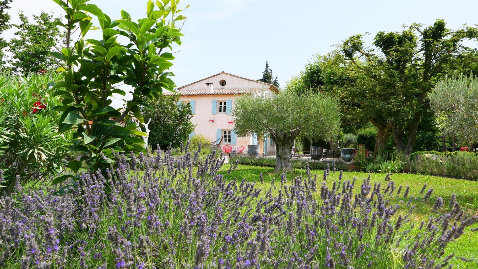 Superbe Mas Provençal 600m2 avec une Superbe Piscine Chauffée et très grand jardin 9000m2, situé au cœur du Luberon en campagne proche de L'Isle sur la Sorgue, 12 personnes, LS2-17 FIGNOULADO Cavaillon Esterno foto
